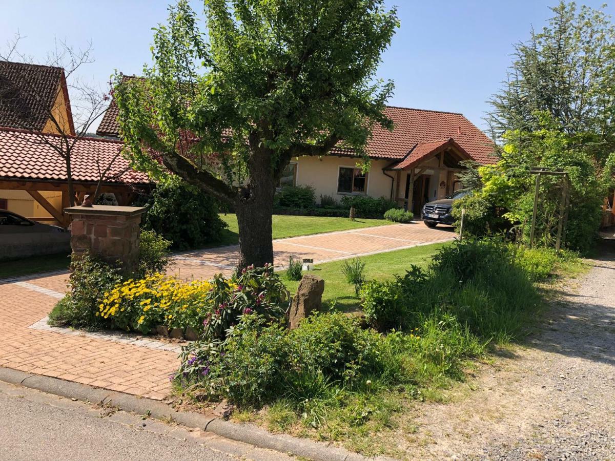 Ferienwohnung Anita Michelstadt Exteriör bild